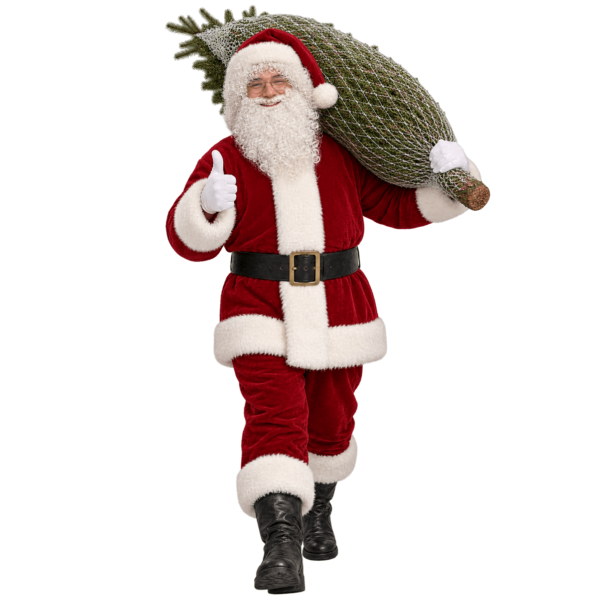 Santa carrying a netted tree