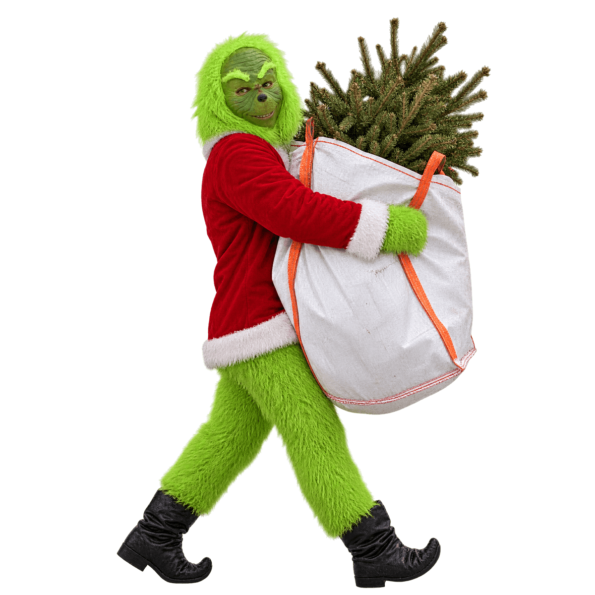 The Grinch carries the tree away in a white sack